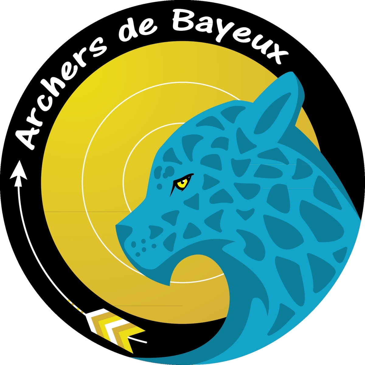 CONCOURS SALLE BAYEUX 2025